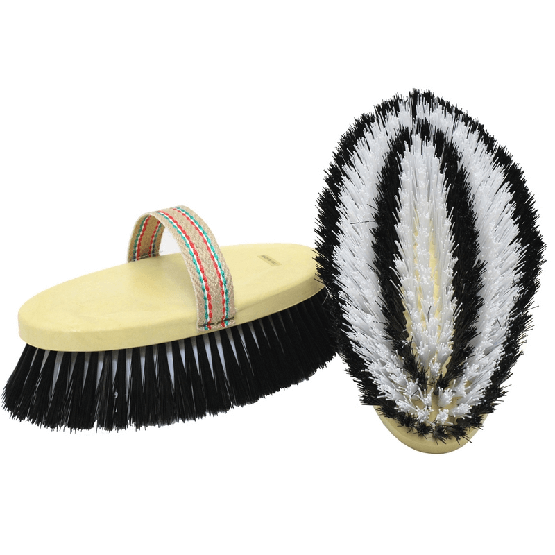 Set Da 5 Spugne Con Dorso In Plastica: Pulizia Multiuso Resistente E Riutilizzabile