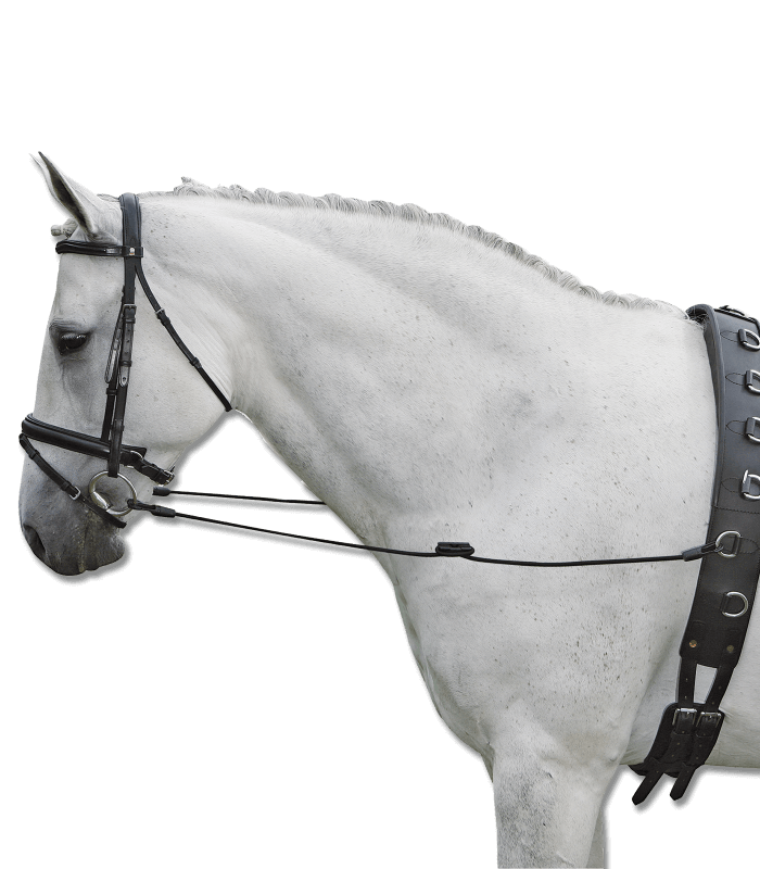 135 Cm, Nero: Sottopancia Pararamponi Modello Butterfly In Cuoio Con Estremità Elastiche - Foto 7